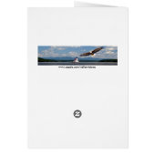 Rivière gelée (Dos)