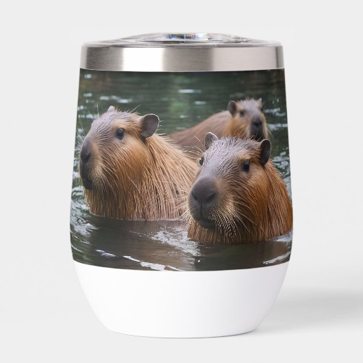 "Rivière Sérénité : Capybaras nageant dans le cour (Avant)