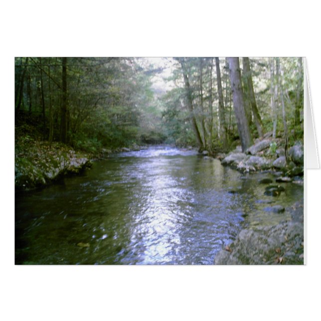 Rivière tranquille (Devant Horizontal)
