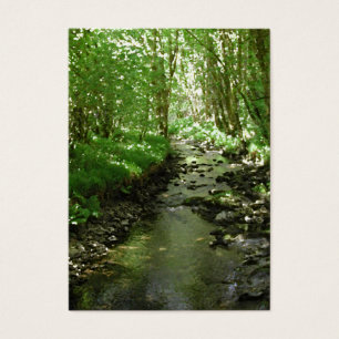 Rivière traversant la région boisée
