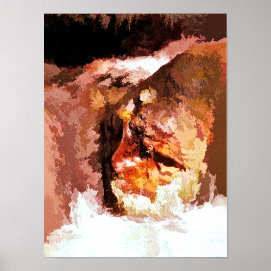 RIVIERGEEST POSTER (Voorkant)