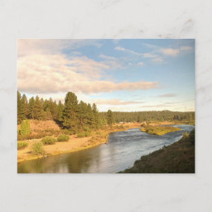 Rivierlandschap Pacific Northwest ansichtkaart Briefkaart