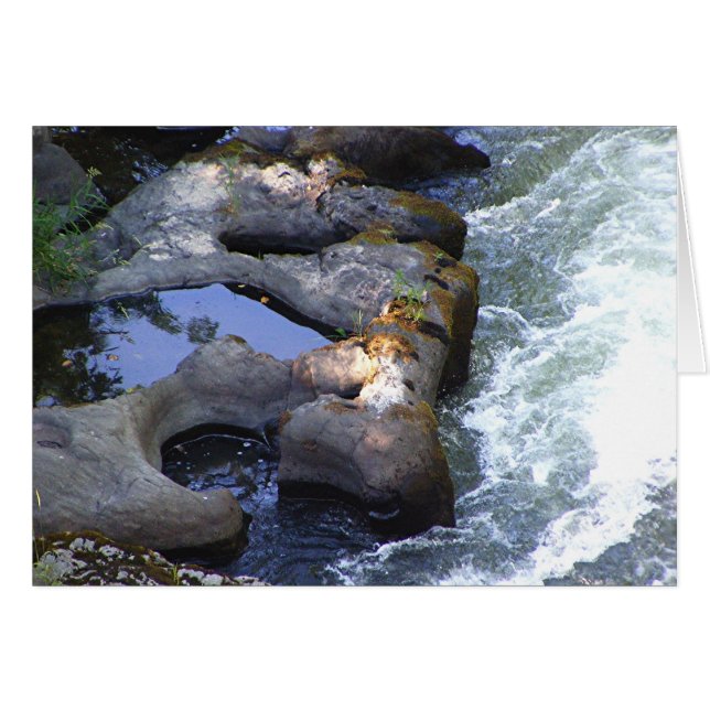 Rivierpools (Voorkant Horizontaal)