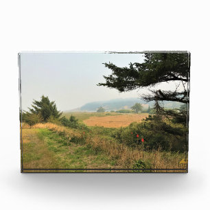 Riviervloed aan de Kaap Blanco, oregon kust Fotoblokken