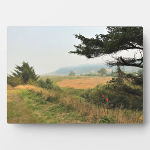 Riviervloed aan de Kaap Blanco, oregon kust Fotoplaat