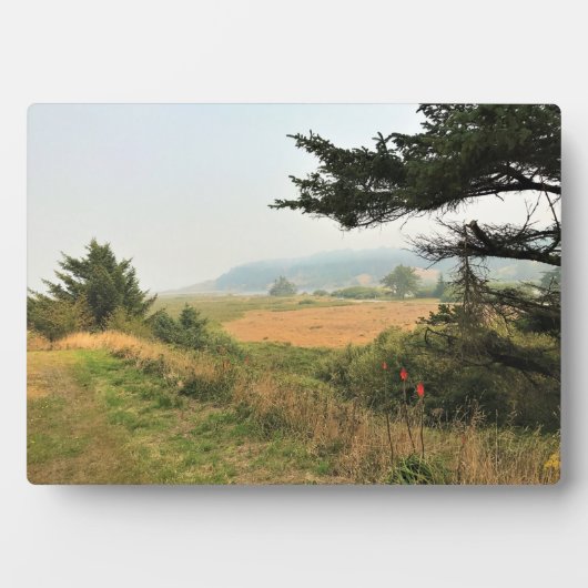 Riviervloed aan de Kaap Blanco, oregon kust Fotoplaat (voorkant)