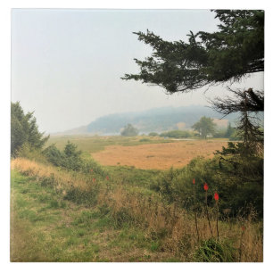 Riviervloed aan de Kaap Blanco, oregon kust Tegeltje