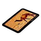 Riyadh, Saudi-Arabië Magneet (Linkerzijde)