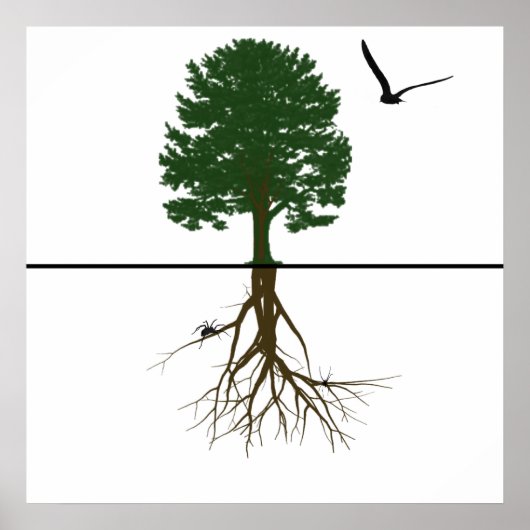 Riyah-Li Design Roots Poster (Voorkant)