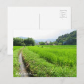 Riz paddy terrain paysage : Carte postale (Devant / Derrière)