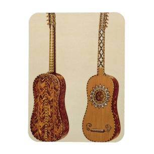 Rizzio Guitar uit 'Musical Instruments' (colore) Magneet