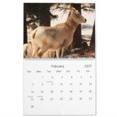 RMNP assaisonne le calendrier (Feb 2027)