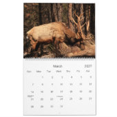 RMNP Seasons Calendar Kalender (Mar 2027)