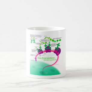 RNA Vertaling in Eiwitsynthesediagram Koffiemok