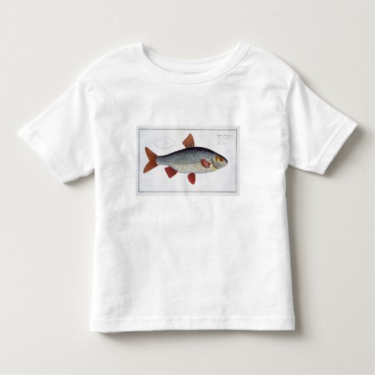 Roach (Cyprinus Rutilis) bord II van "Ichthyolog Kinder Shirts (Voorkant)