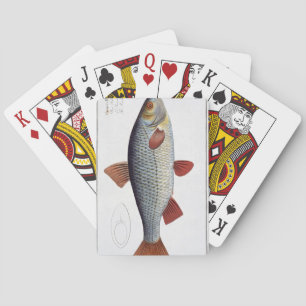 Roach (Cyprinus Rutilis) plate II from 'Ichthyolog Pokerkaarten