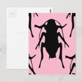 Roaches Briefkaart (Voorkant / Achterkant)