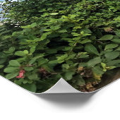 Road End, Lincoln City, Oregon Poster (Hoek)