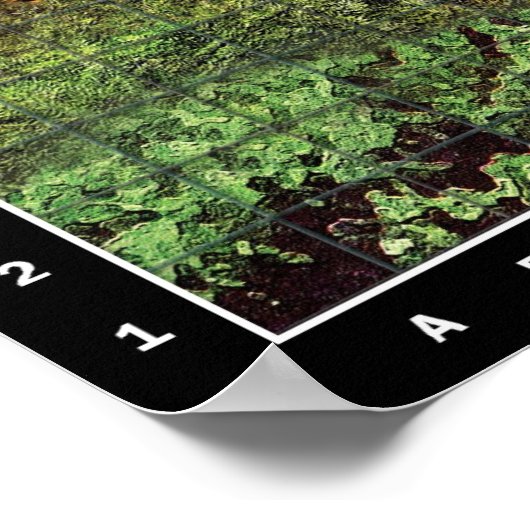 Road met Bridge - Battle Map Poster (Hoek)