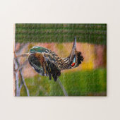 Road Runner Arizona. Puzzle (Horizontal)
