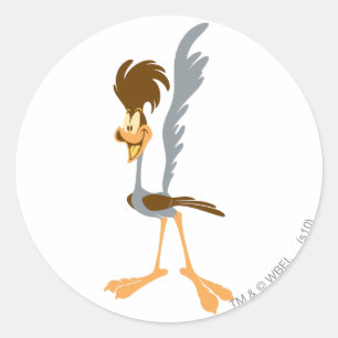 ROAD RUNNER™ Artistisch Ronde Sticker