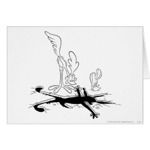 ROAD RUNNER™ en WILE E. COYOTE™ Vormig gat