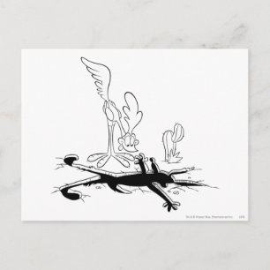 ROAD RUNNER™ en WILE E. COYOTE™ Vormig gat Briefkaart
