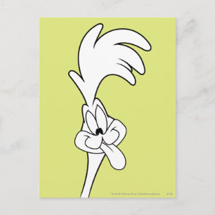 ROAD RUNNER™ Tongue Briefkaart