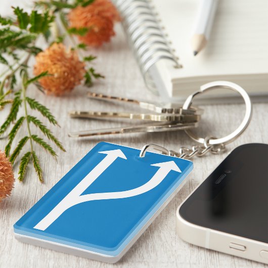 Road Sign Arrows Sleutelhanger
