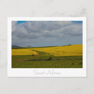 Road South Africa Landscape Briefkaart