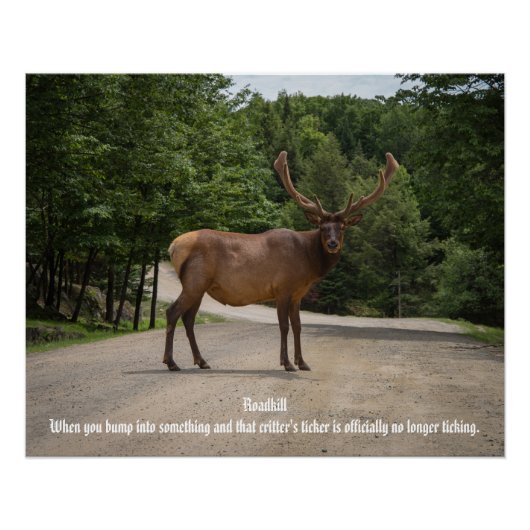 Roadkill Perfect Poster (Voorkant)