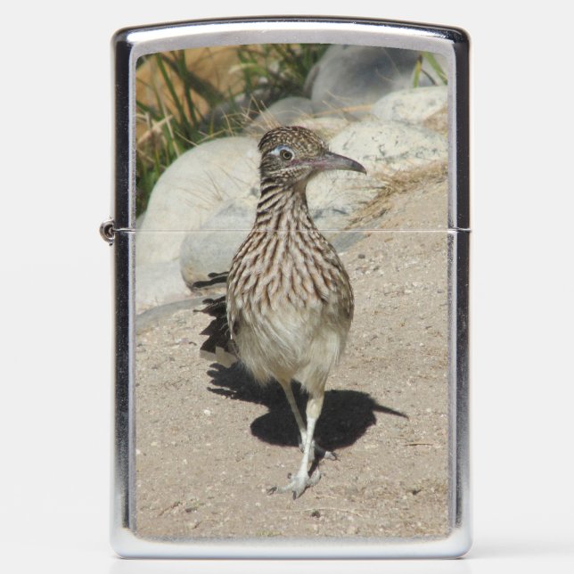 Roadrunner (Voorkant)