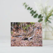 Roadrunner Bird Briefkaart (Staand voorkant)