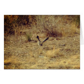 Roadrunner Blank Greeting Card + White Envelope (Devant horizontal)