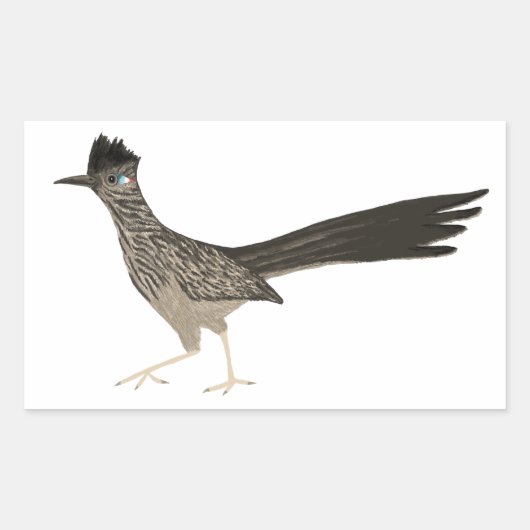 Roadrunner-gekleurde potloodtekening rechthoekige sticker (Voorkant)