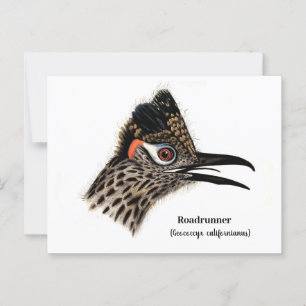 roadrunner (Geococcyx californianus) Briefkaart