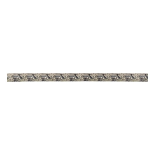 Roadrunner Lint (Voorkant)