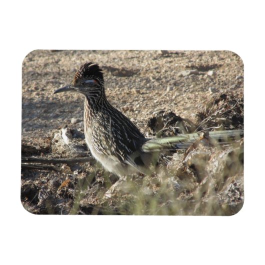 Roadrunner Magnet Magneet (Horizontaal)