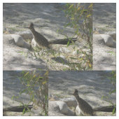 Roadrunner Stof (Close Up)