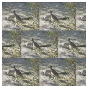 Roadrunner Stof