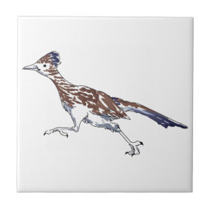 Roadrunner Tegeltje