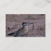 Roadrunner Visitekaartje (Achterkant)