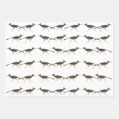 Roadrunner Wrapping Paper Flat Sheet Set van 3 (Voorkant 2)