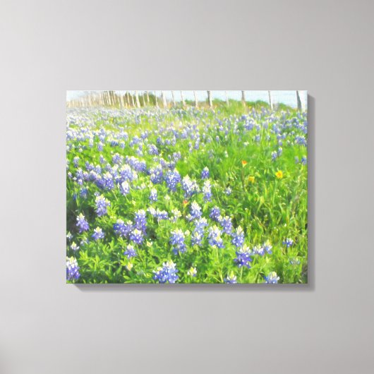 Roadside Bluebonnets Stretted Canvas Afdruk (Voorkant)