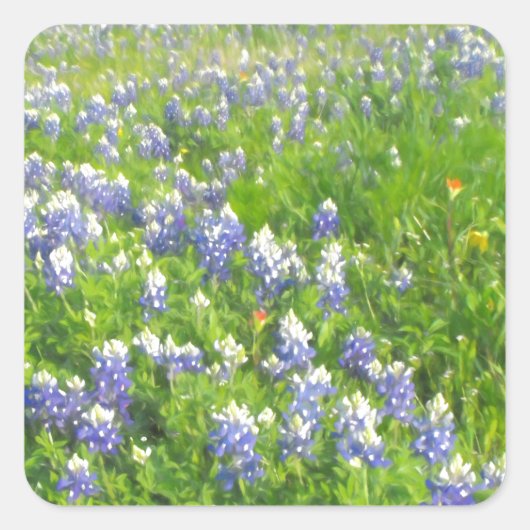 Roadside Bluebonnets Vierkante Sticker (Voorkant)