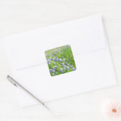 Roadside Bluebonnets Vierkante Sticker (Envelop)
