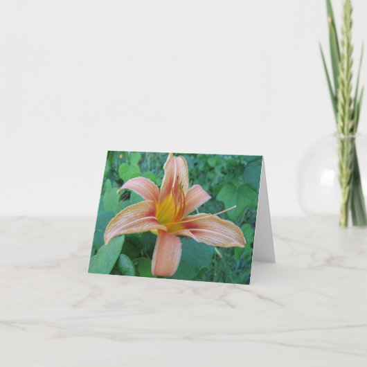 RoadSide Delicacy Note Kaart (Voorkant)