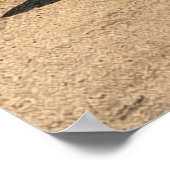 Roadside Dreams of the 60s and 70s Poster (Hoek)