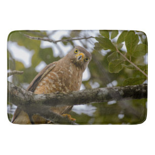 Roadside Hawk Belize Bird Photography Badmat