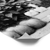 Roadside Market, 1936.  foto Poster (Hoek)